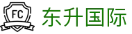 东升国际在线